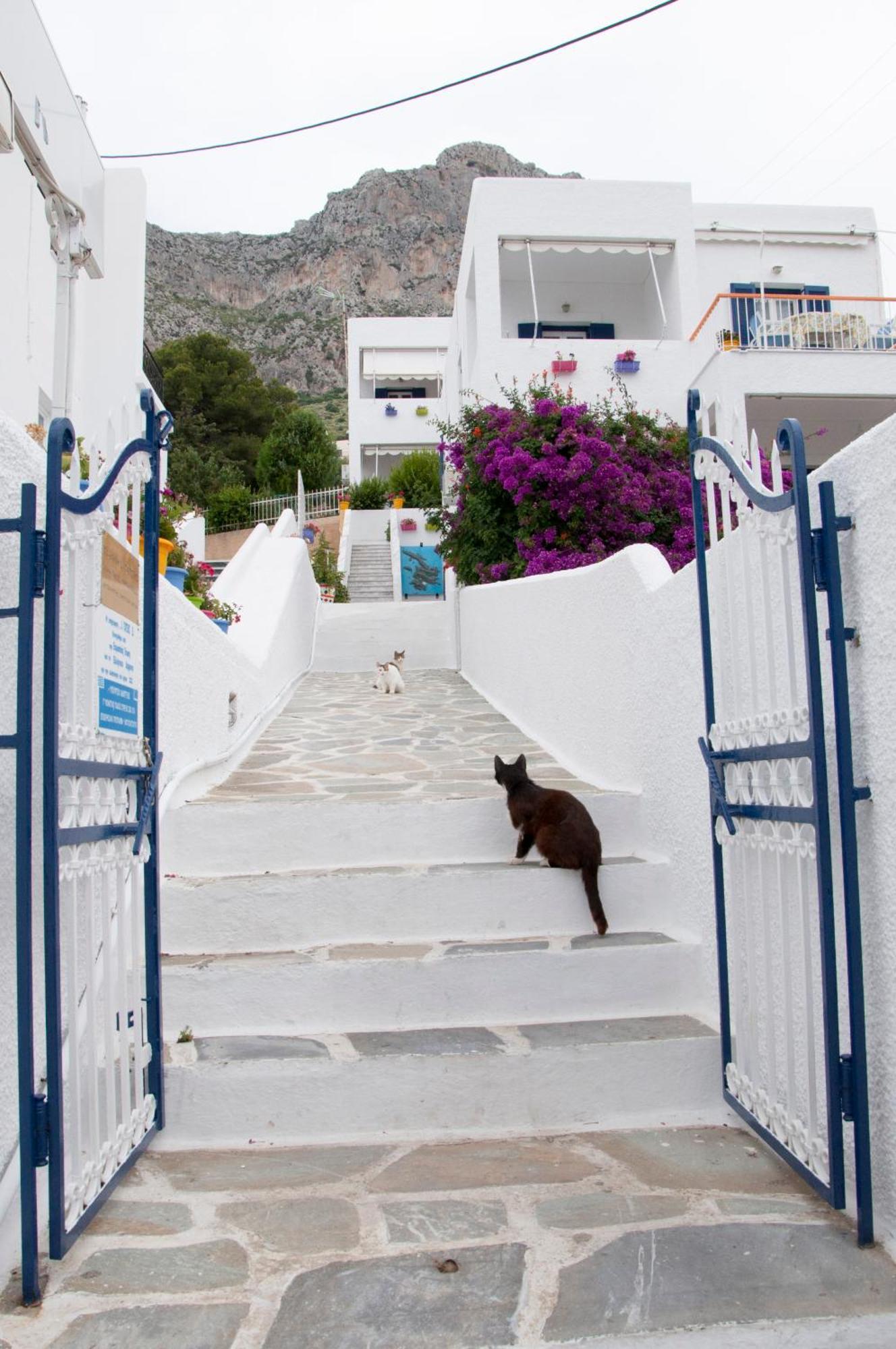 Tatsis Apartments Masouri Buitenkant foto
