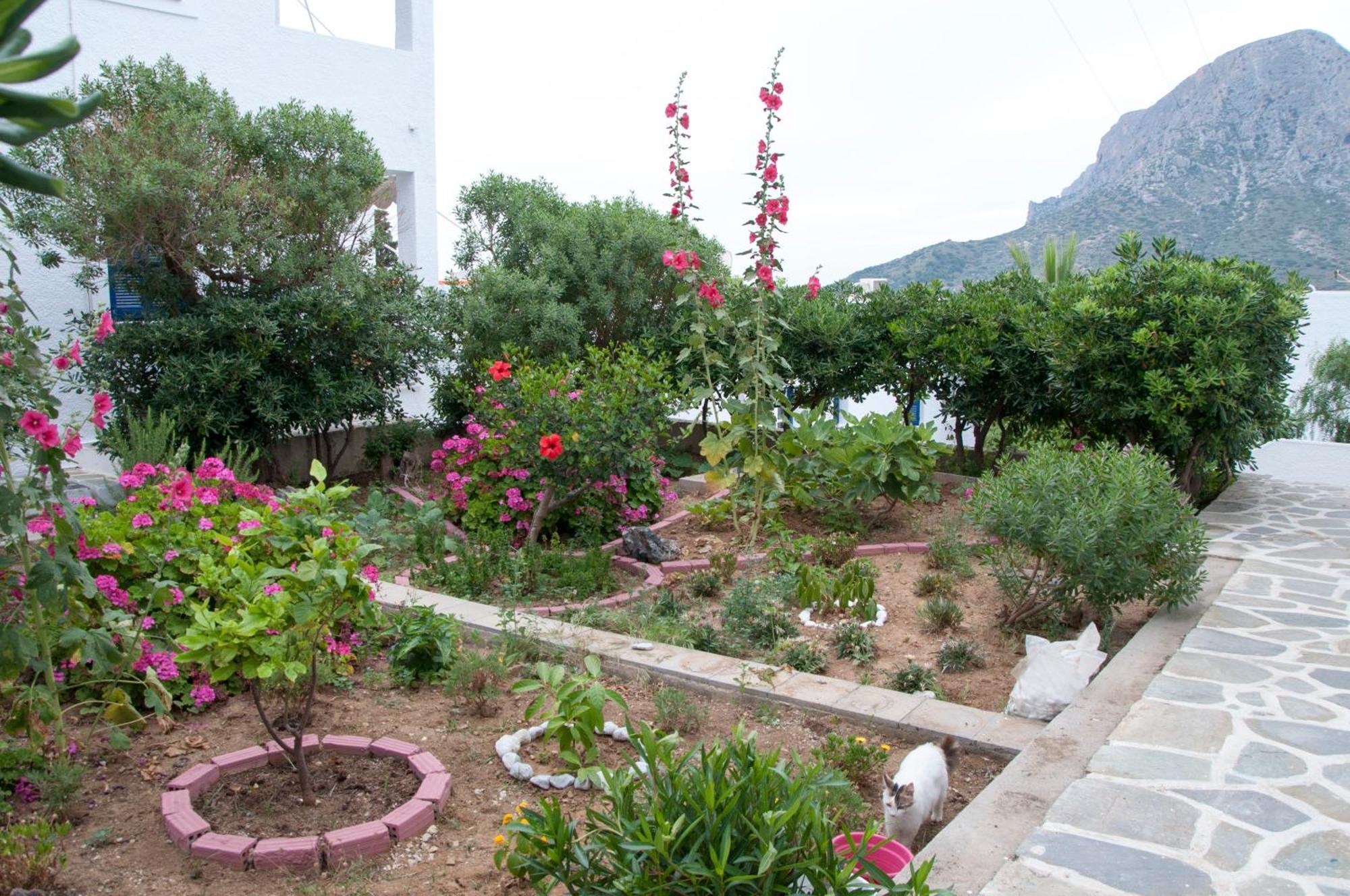 Tatsis Apartments Masouri Buitenkant foto