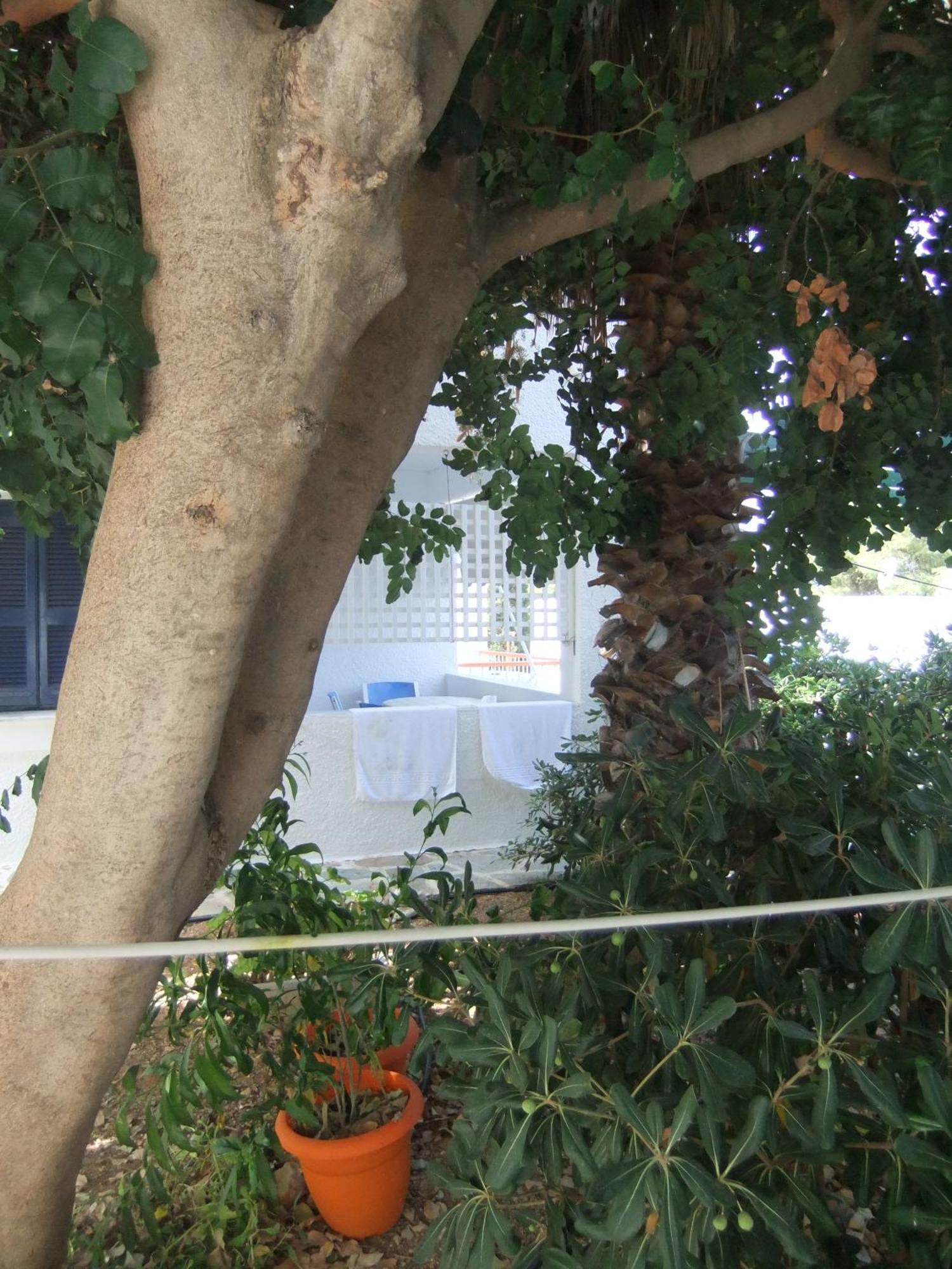 Tatsis Apartments Masouri Kamer foto